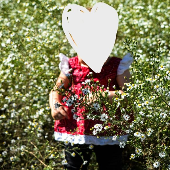 Blueberi Blvd Red Bandana Top Flutter Sleeves and pants 2 pc set 18 months - Picture 11 of 11